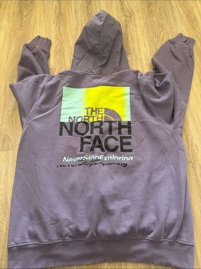 The North Face Mauve Hoodie with Neon Yellow & Mint Back Graphic